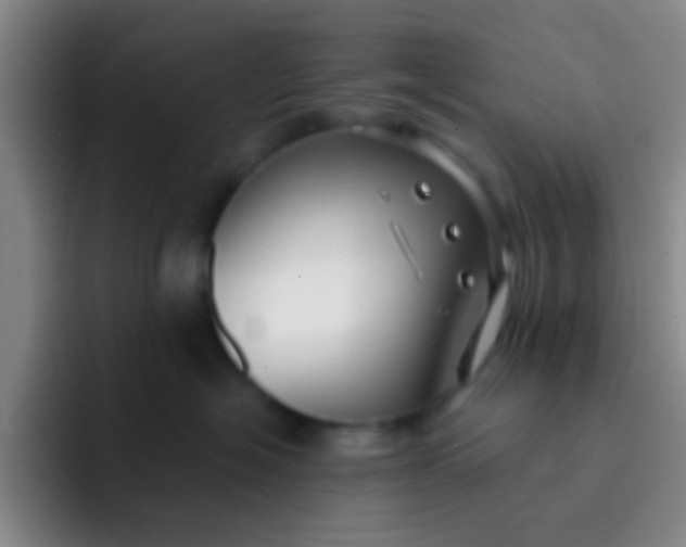X0000091930574200709261916