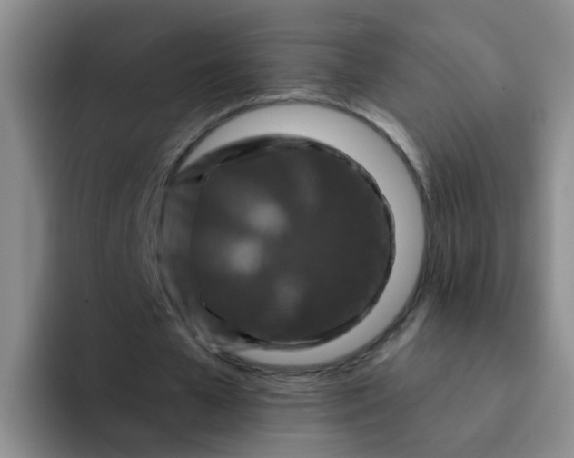 X0000091930577200709261916