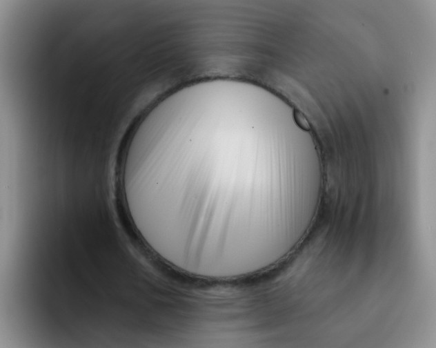 X0000091930578200709261916