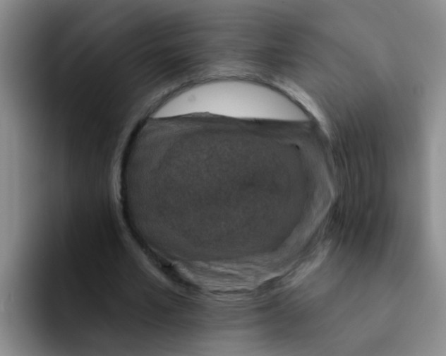 X0000091930581200709261916