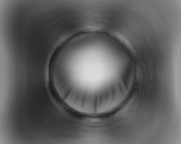 X0000091930582200709261916