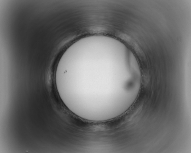 X0000091930583200709261916