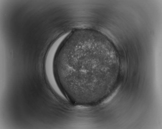 X0000091930585200709261915
