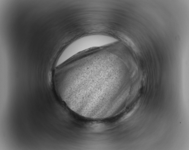 X0000091930589200709261915