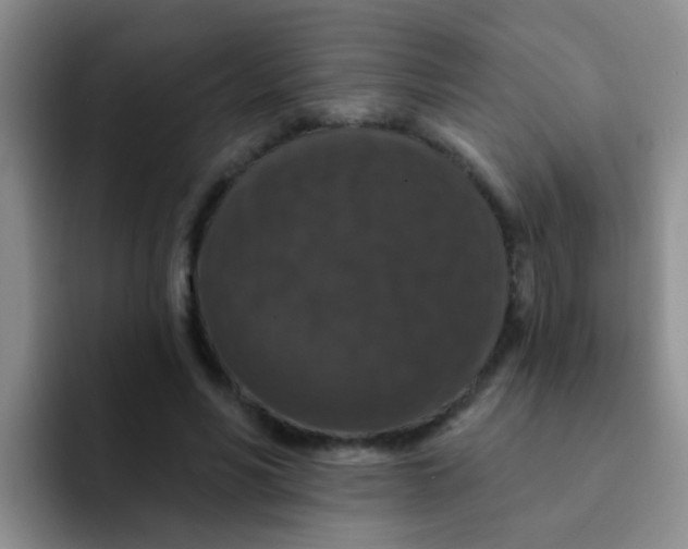 X0000091930590200709261915