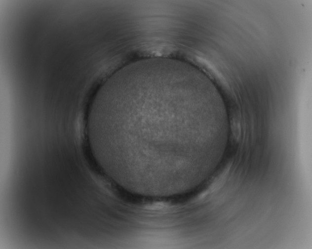 X0000091930594200709261915