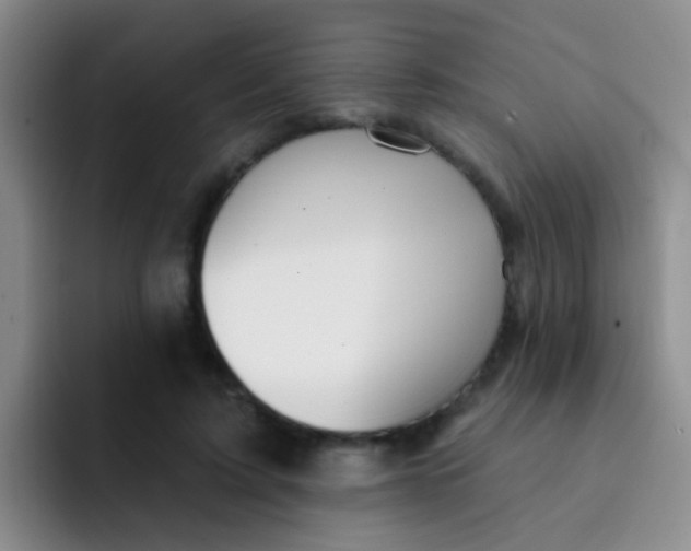 X0000091930595200709261915