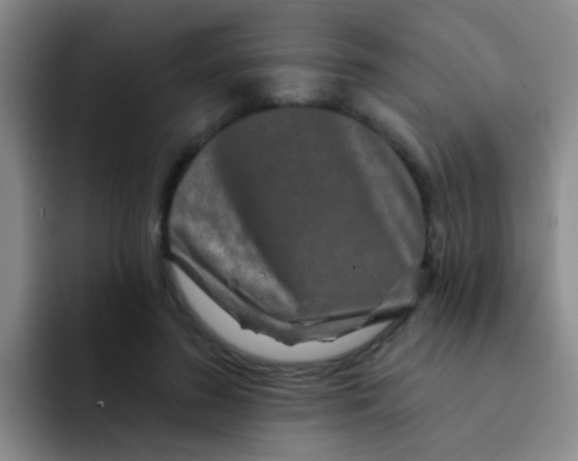 X0000091930596200709261915