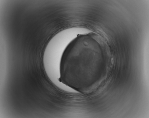 X0000091930597200709261915