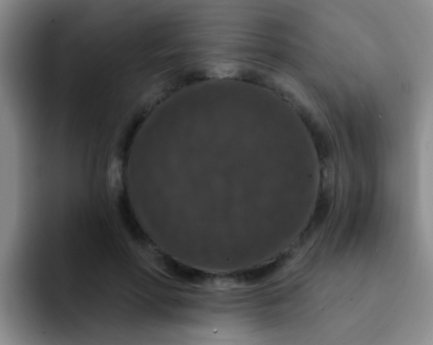 X0000091930598200709261915