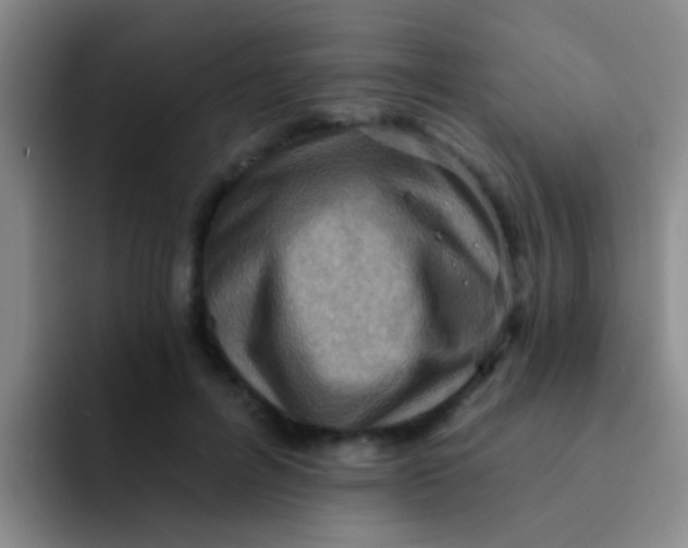 X0000091930600200709261915