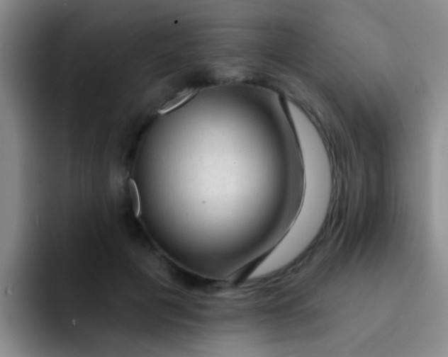 X0000091930601200709261915