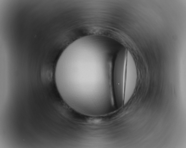 X0000091930602200709261915