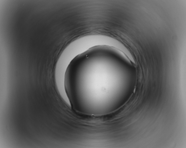 X0000091930604200709261915