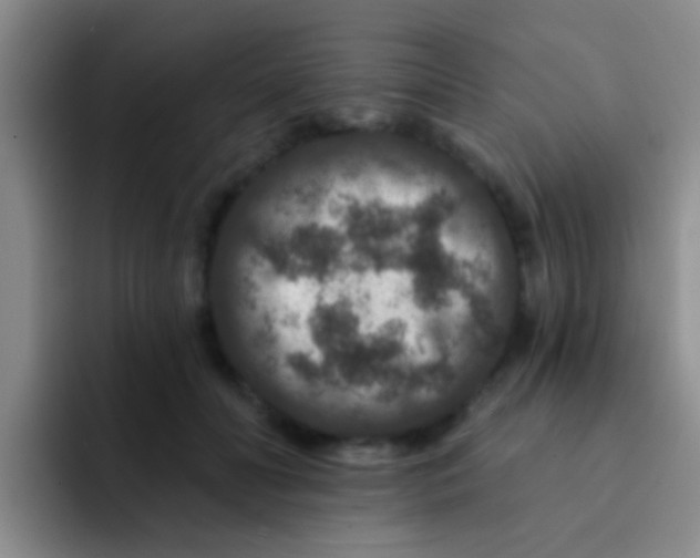 X0000091930606200709261915