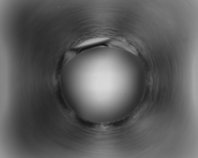 X0000091930607200709261915