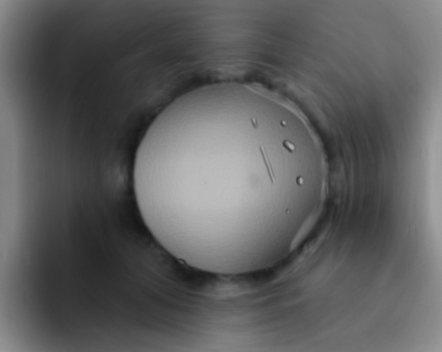 X0000091930608200709261915