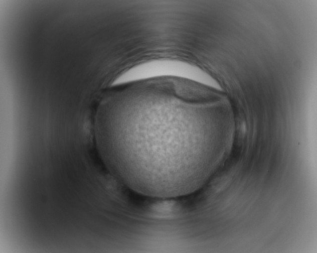 X0000091930609200709261915