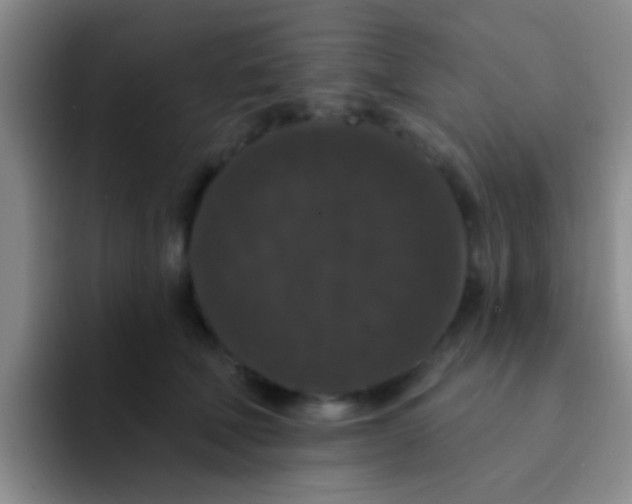 X0000091930610200709261915