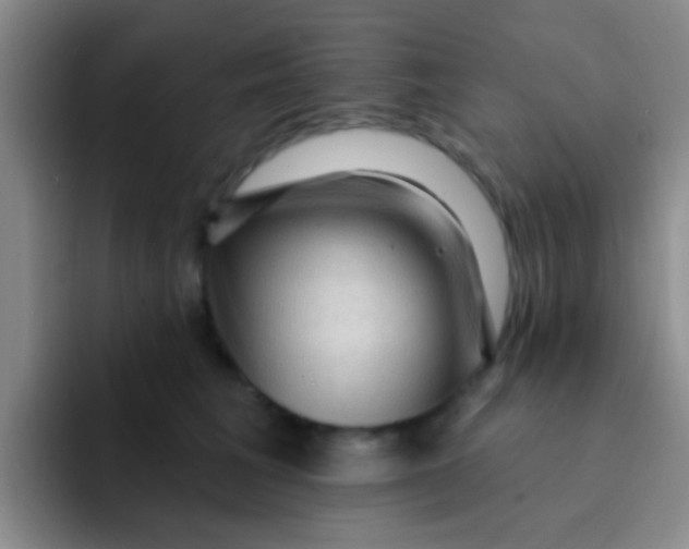 X0000091930613200709261915