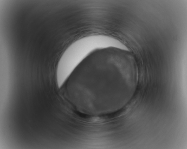 X0000091930616200709261915