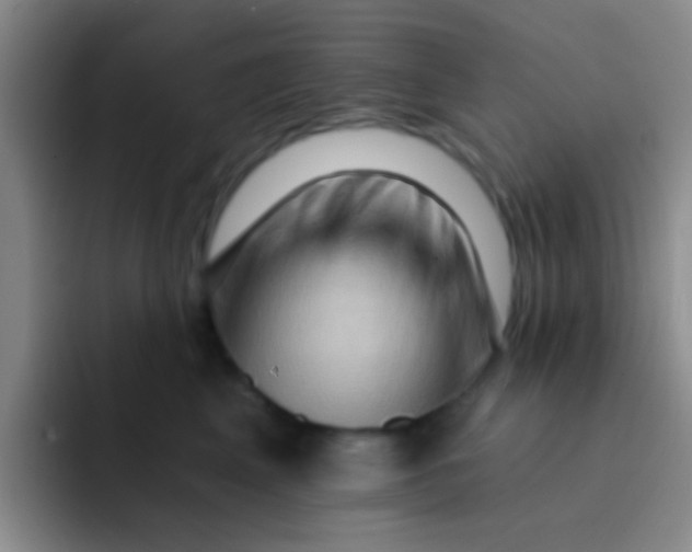 X0000091930617200709261915