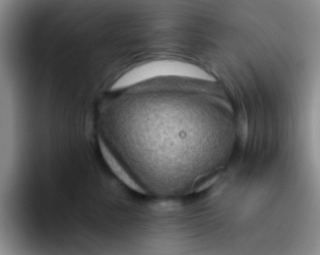 X0000091930619200709261915