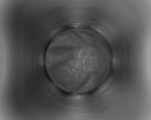 X0000091930620200709261915
