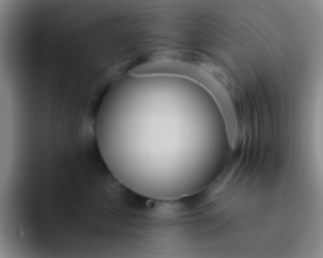 X0000091930621200709261915