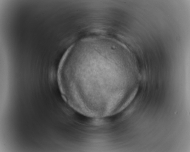 X0000091930623200709261915