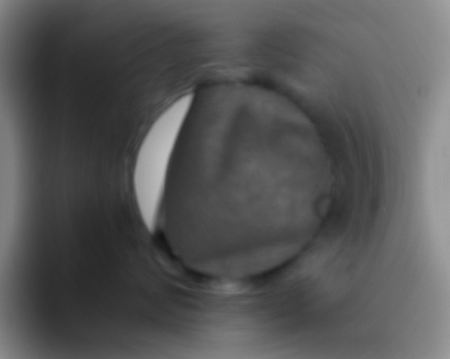 X0000091930624200709261915