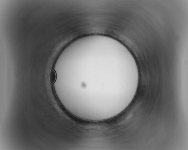X0000091930625200709261914