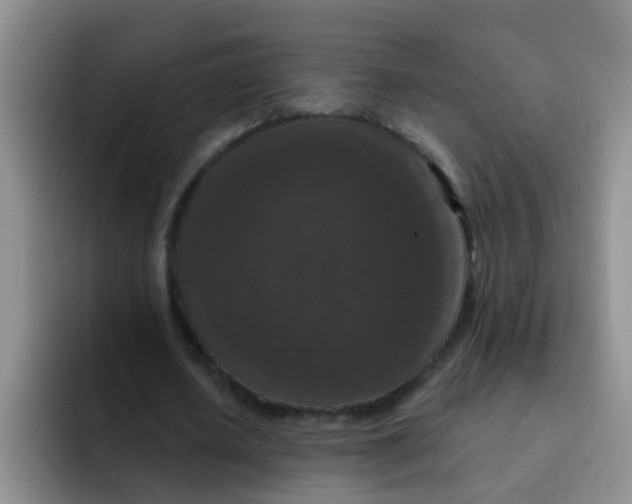 X0000091930626200709261915
