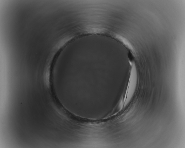 X0000091930627200709261915