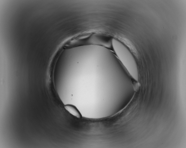 X0000091930628200709261915