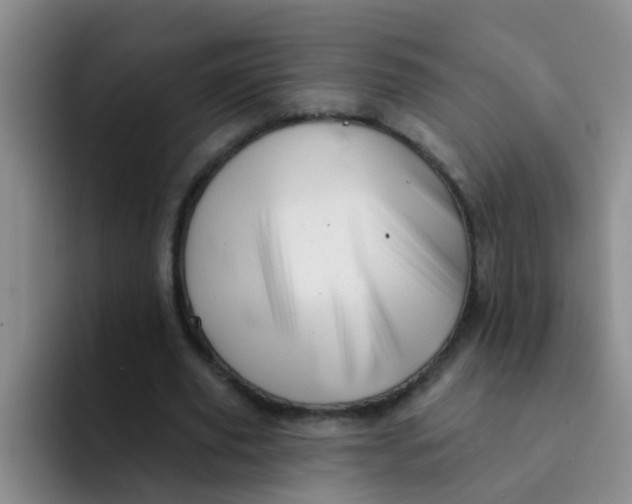 X0000091930629200709261915
