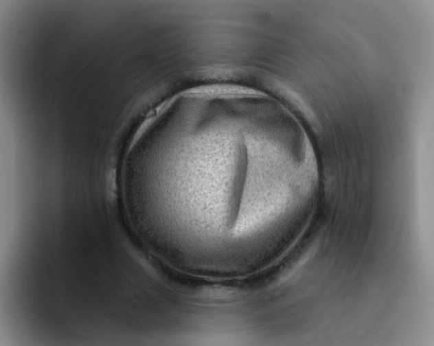 X0000091930633200709261915