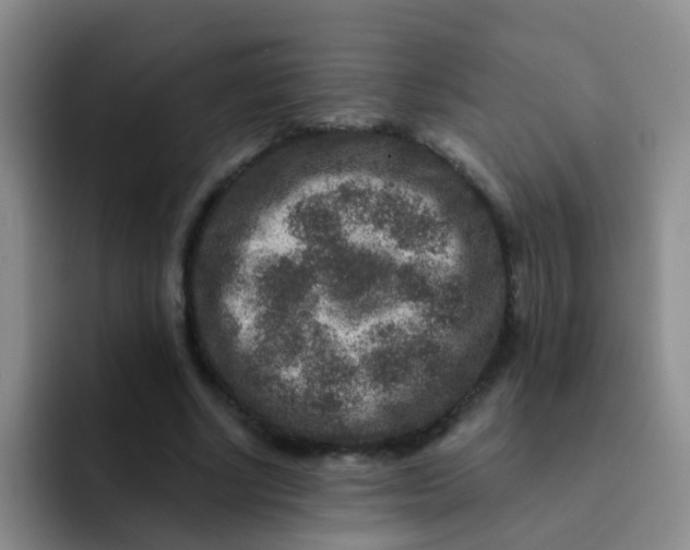 X0000091930634200709261915