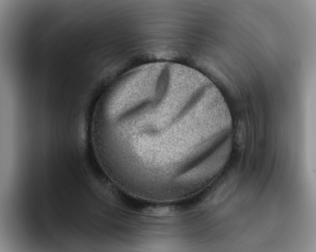 X0000091930639200709261915