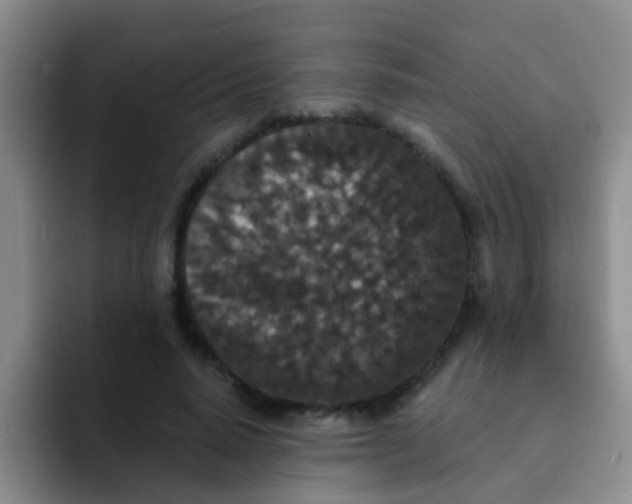 X0000091930640200709261915