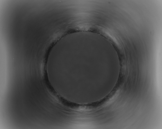 X0000091930641200709261915