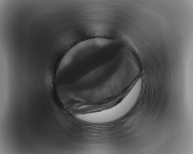 X0000091930643200709261915