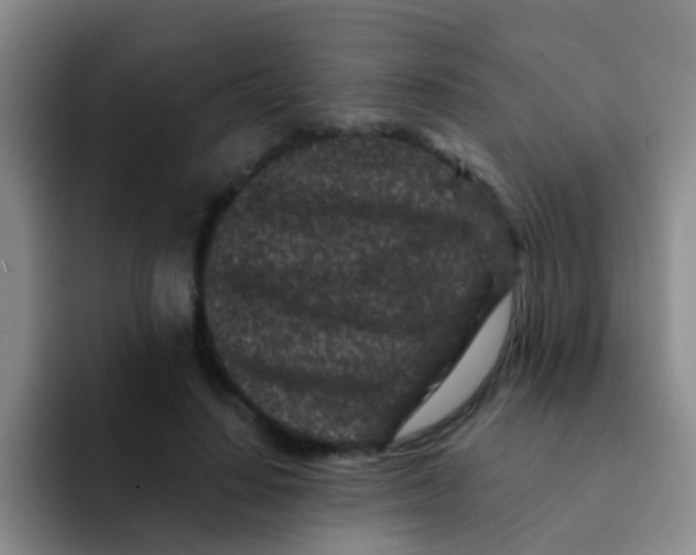 X0000091930644200709261915