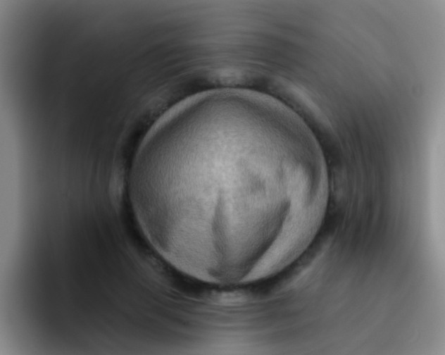X0000091930645200709261915