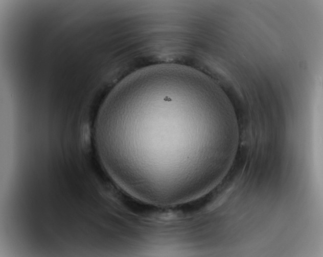 X0000091930646200709261915
