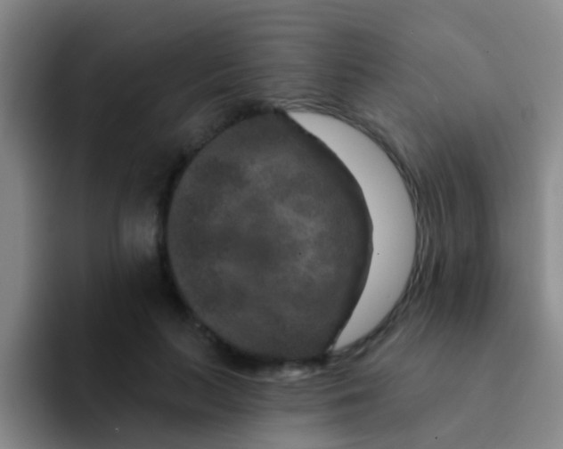 X0000091930647200709261915