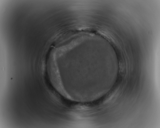 X0000091930648200709261915