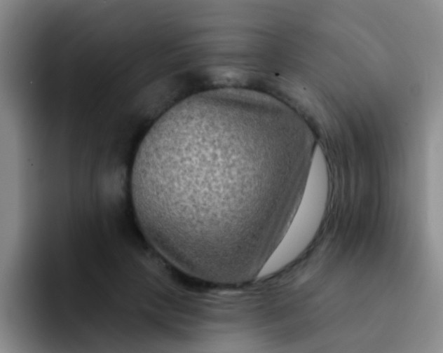 X0000091930649200709261915