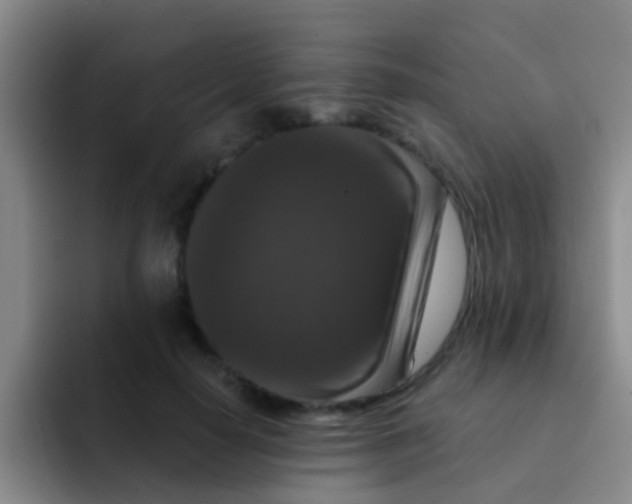 X0000091930650200709261915