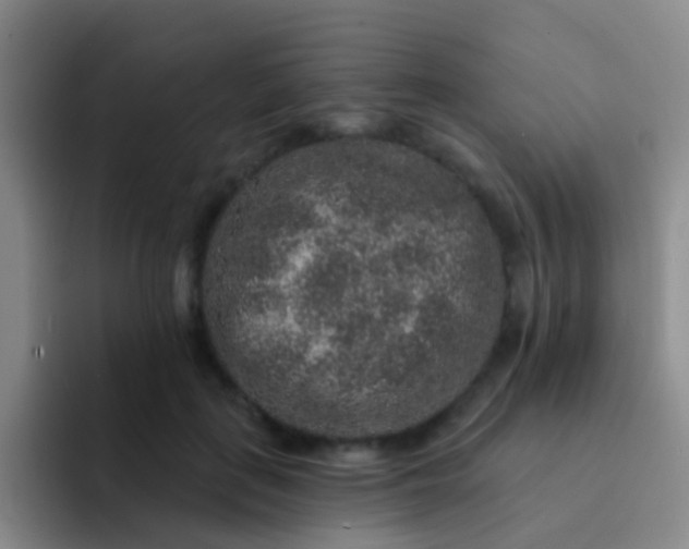 X0000091930651200709261915